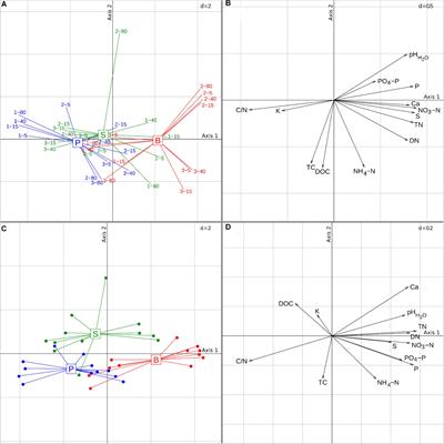 Soil Bacterial and Archaeal Communities and Their Potential to Perform N-Cycling Processes in Soils of Boreal Forests Growing on Well-Drained Peat